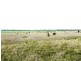 1536 Riverslea Road, Gogango QLD 4702