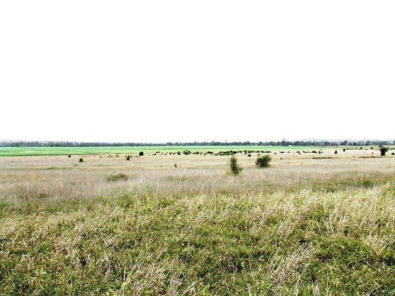 1536 Riverslea Road, Gogango QLD 4702