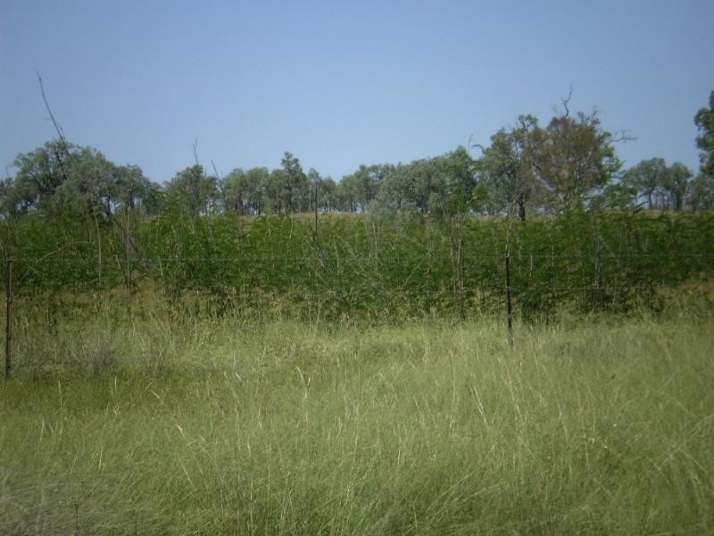 2036 Cannindah Road, Monto QLD 4630