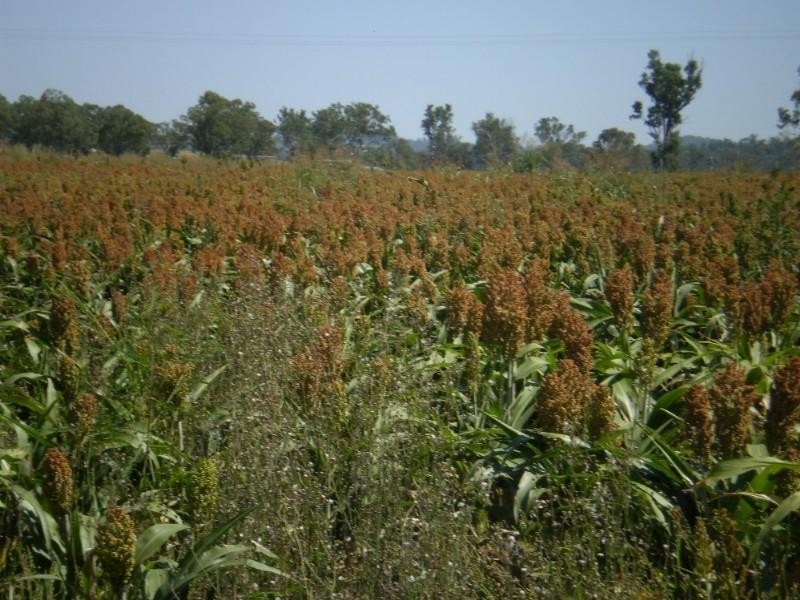 2036 Cannindah Road, Monto QLD 4630