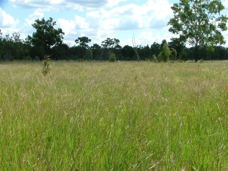 1475 Glendarra Road, Dingo QLD 4702