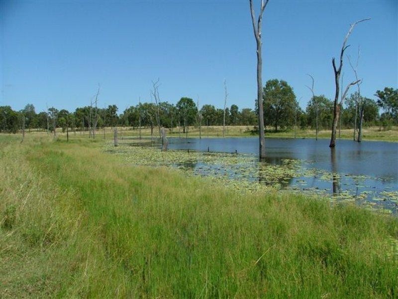 1475 Glendarra Road, Dingo QLD 4702