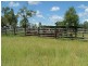 1475 Glendarra Road, Dingo QLD 4702
