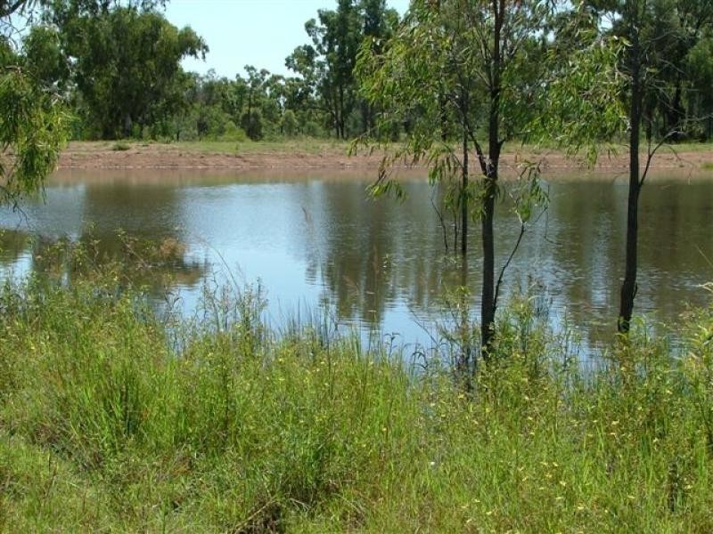 1475 Glendarra Road, Dingo QLD 4702