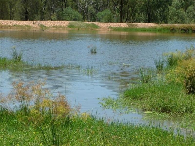 1475 Glendarra Road, Dingo QLD 4702