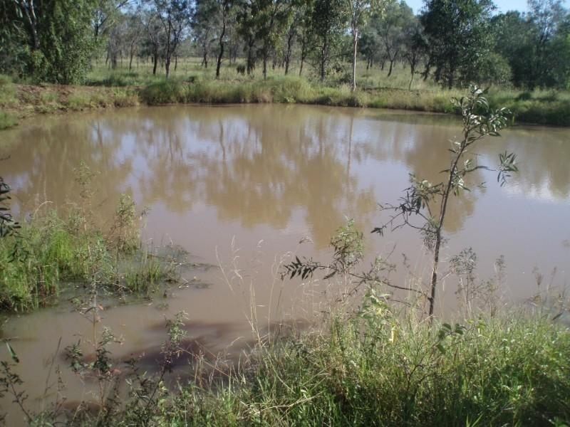 86 Horger Road, Alton Downs QLD 4702