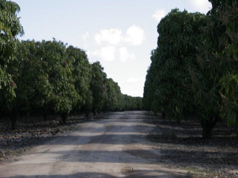 106 McEvoy Road, Kabra QLD 4702