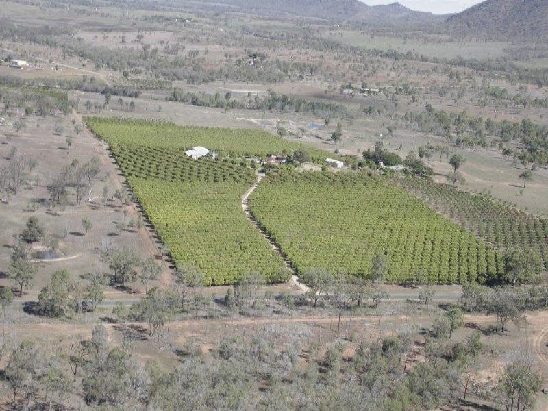 106 McEvoy Road, Kabra QLD 4702