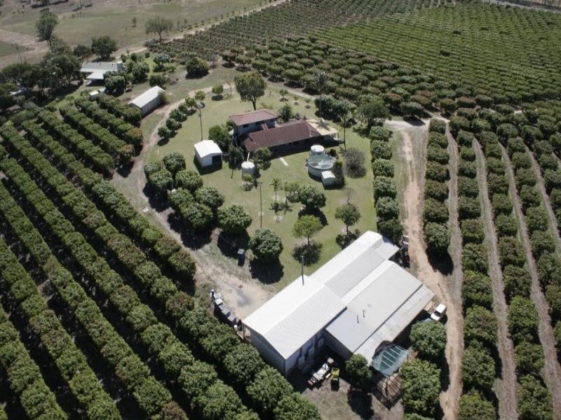 106 McEvoy Road, Kabra QLD 4702