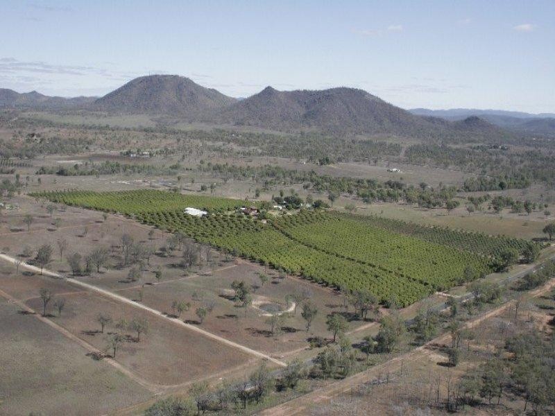 106 McEvoy Road, Kabra QLD 4702