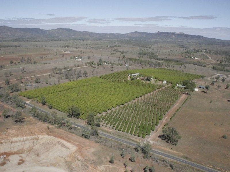 106 McEvoy Road, Kabra QLD 4702