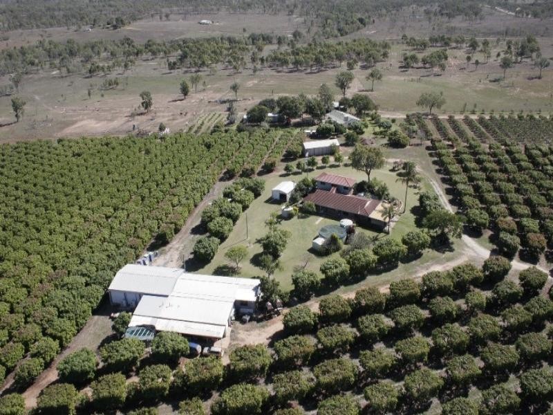 106 McEvoy Road, Kabra QLD 4702