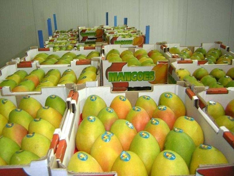 106 McEvoy Road, Kabra QLD 4702