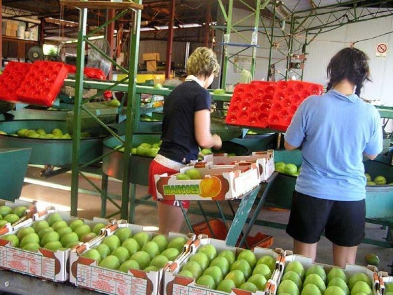 106 McEvoy Road, Kabra QLD 4702