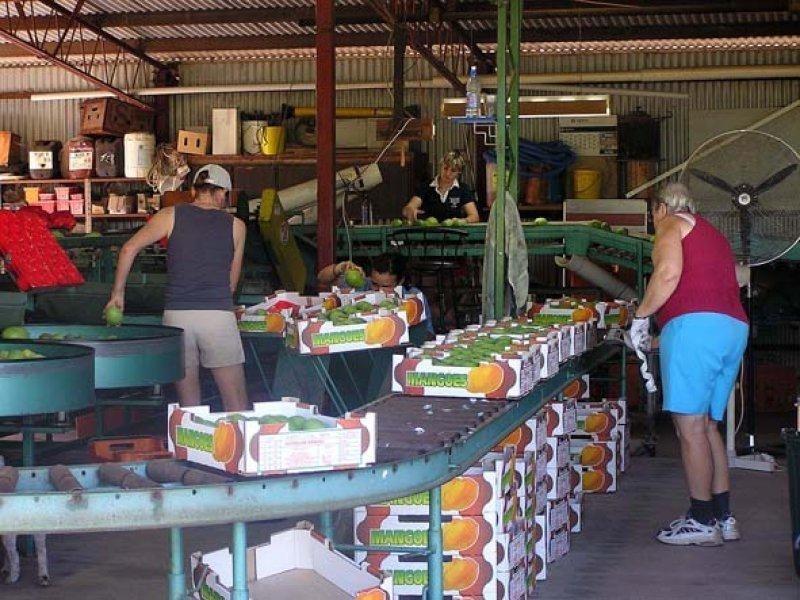 106 McEvoy Road, Kabra QLD 4702