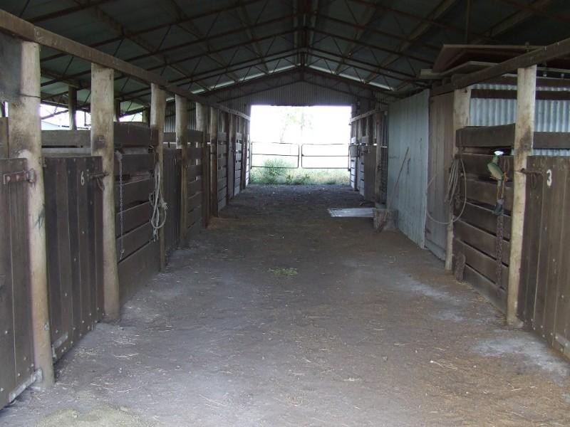 89 South Yaamba Road, Alton Downs QLD 4702