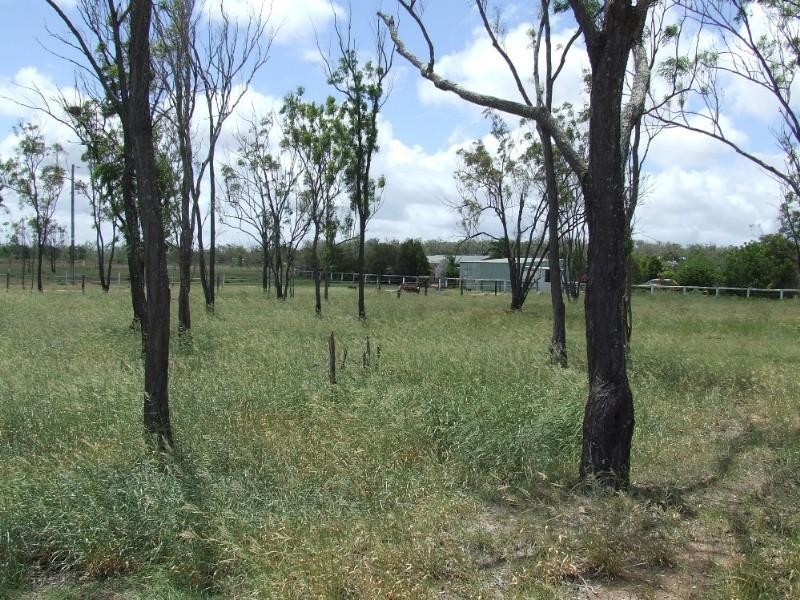 89 South Yaamba Road, Alton Downs QLD 4702