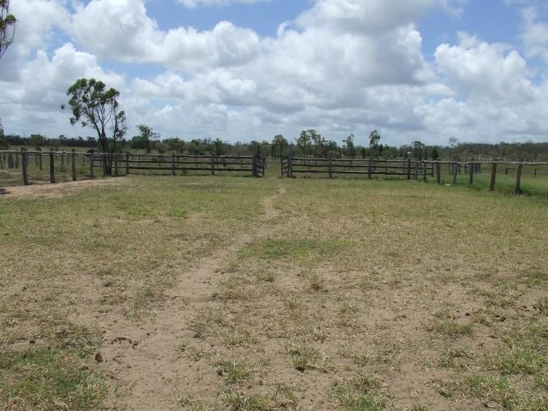 89 South Yaamba Road, Alton Downs QLD 4702