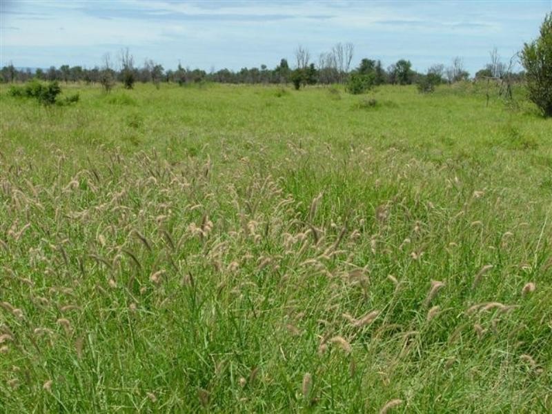 . Capricorn Highway, Emerald QLD 4720