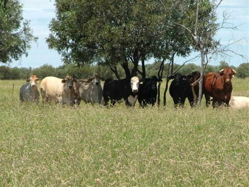 . Capricorn Highway, Emerald QLD 4720