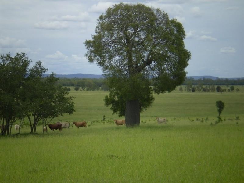 3675 Moura Baralaba Road, Baralaba QLD 4702