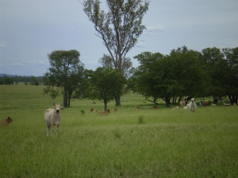 3675 Moura Baralaba Road, Baralaba QLD 4702