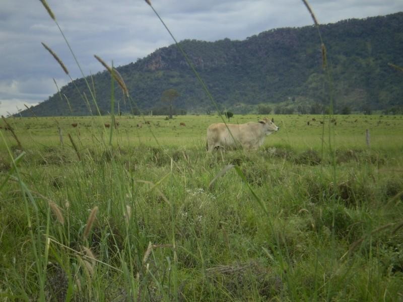 3675 Moura Baralaba Road, Baralaba QLD 4702