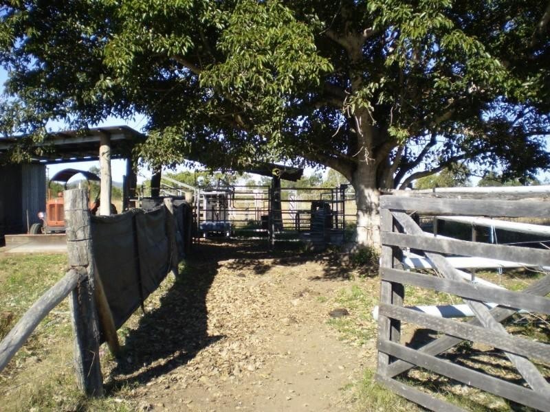 142 Dairy Inn Road, Cawarral QLD 4702