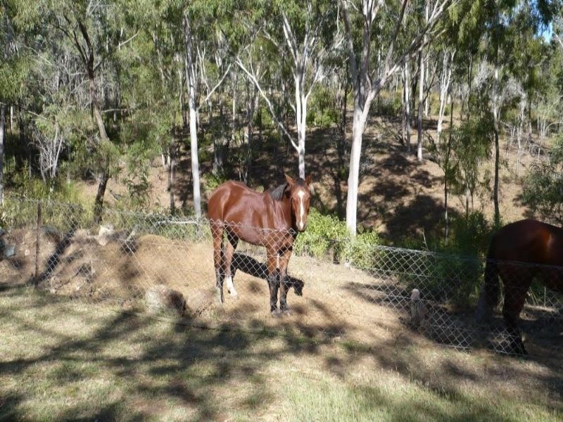10 Mckenzie Lane, Limestone QLD 4714
