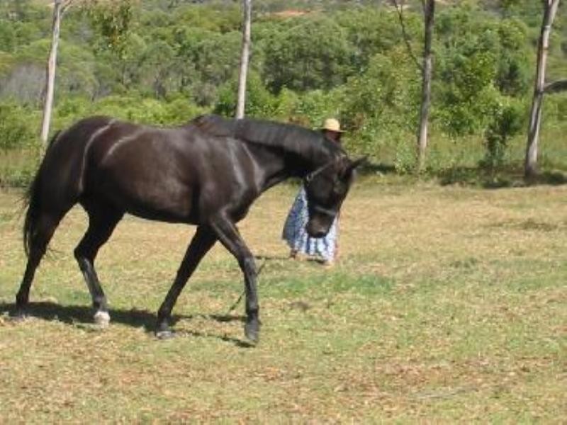 358 Browns Lane, Yeppoon QLD 4703