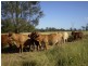 Bajool QLD 4699