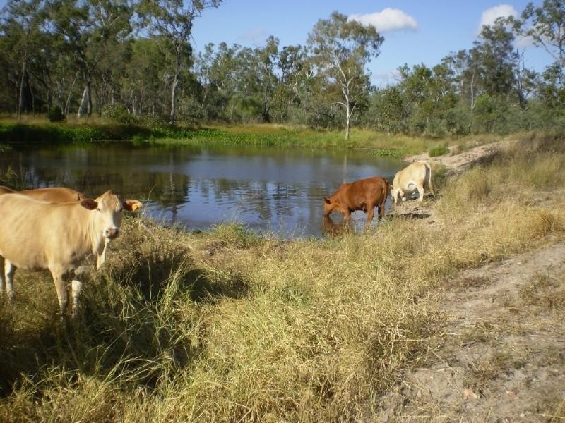 Bajool QLD 4699