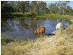 Bajool QLD 4699