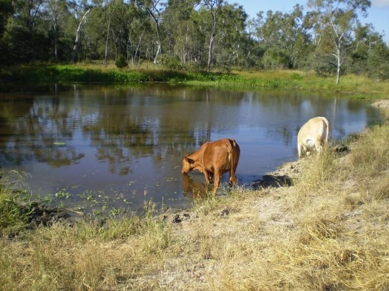 Bajool QLD 4699