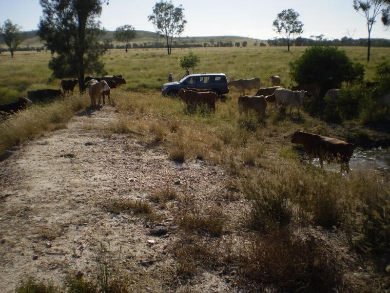 Bajool QLD 4699