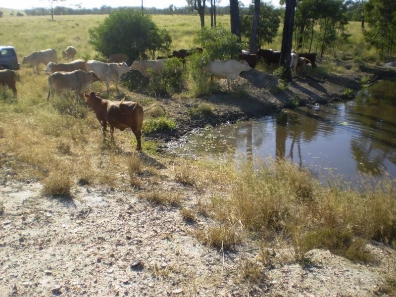 Bajool QLD 4699
