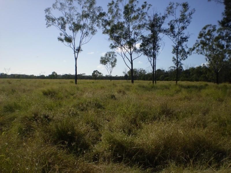 . Punter Road, Bajool QLD 4699