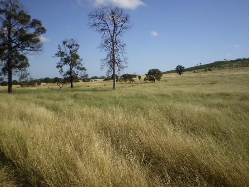 . Punter Road, Bajool QLD 4699