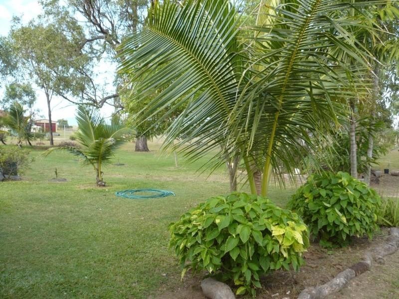 100 Victoria Street, Gracemere QLD 4702