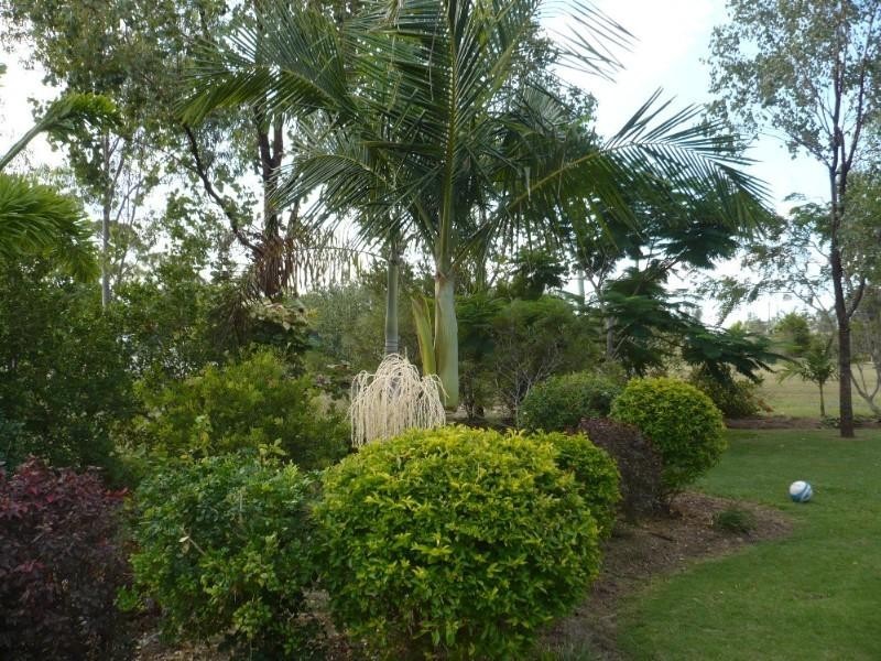 100 Victoria Street, Gracemere QLD 4702