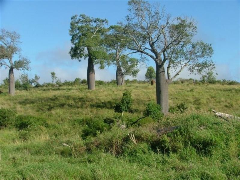 . Donovan Road, Morinish QLD 4702