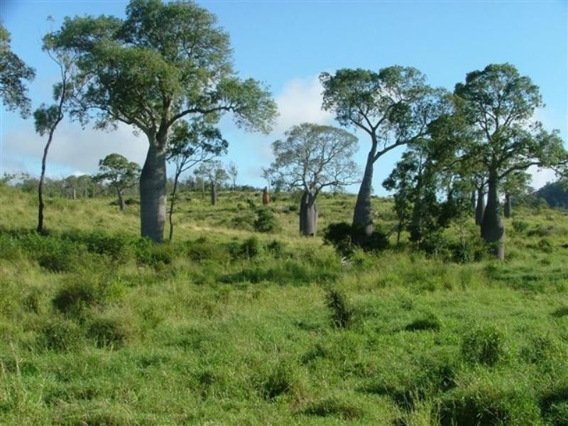 . Donovan Road, Morinish QLD 4702