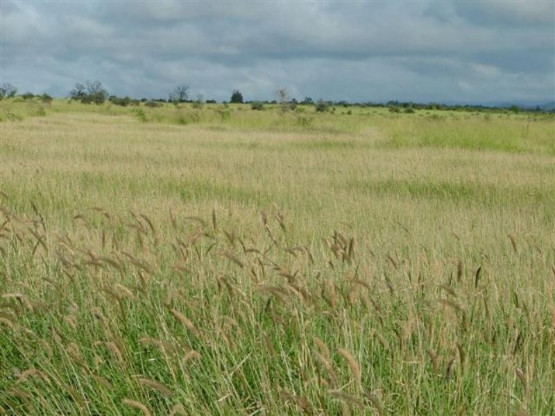 . Donovan Road, Morinish QLD 4702