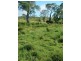 . Donovan Road, Morinish QLD 4702