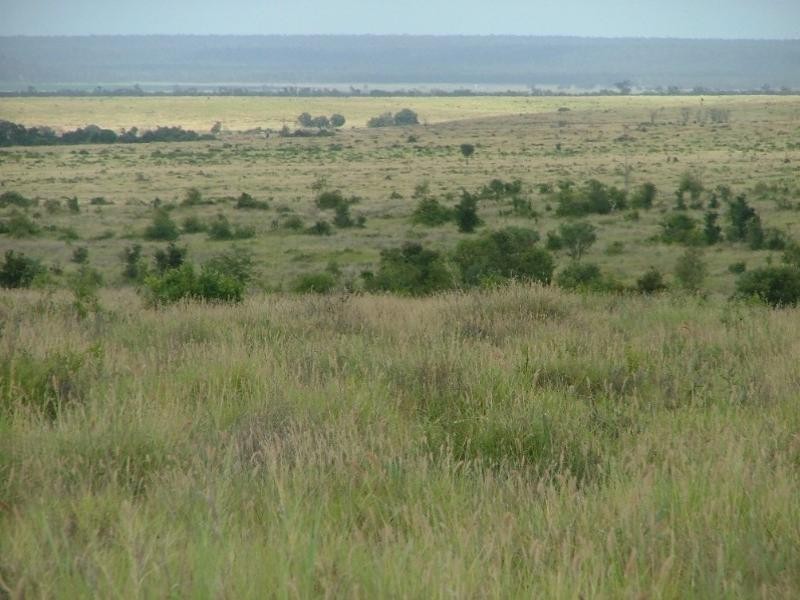 2938 Apis Creek Road, Marlborough QLD 4705