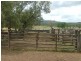 2938 Apis Creek Road, Marlborough QLD 4705