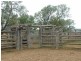 2938 Apis Creek Road, Marlborough QLD 4705