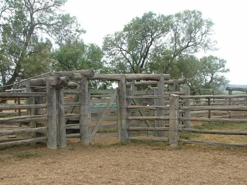 2938 Apis Creek Road, Marlborough QLD 4705