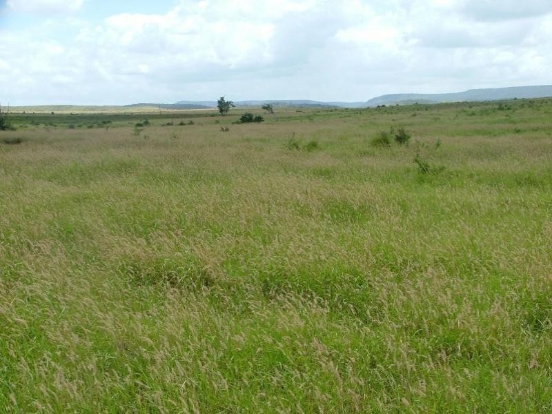 2938 Apis Creek Road, Marlborough QLD 4705