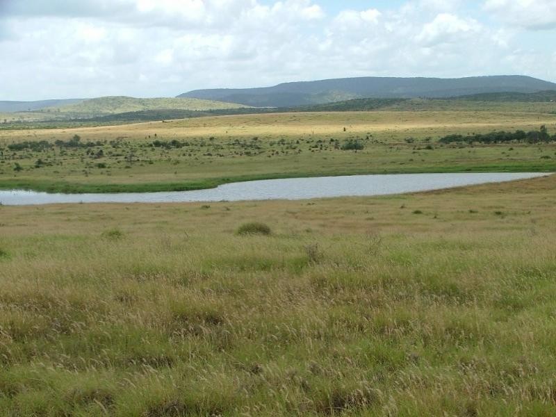 2938 Apis Creek Road, Marlborough QLD 4705